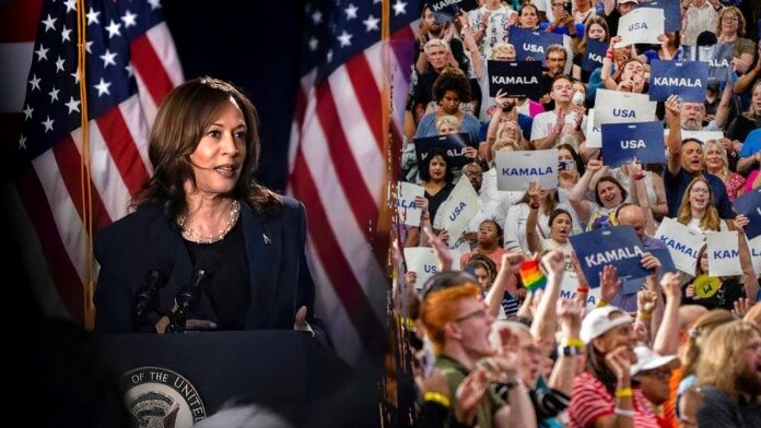 Abortion, 'free' education among top issues for Harris voters