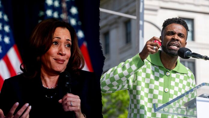 Black Lives Matter says Dems are 'party of hypocrites' for 'installing' Harris sans 'public voting process'