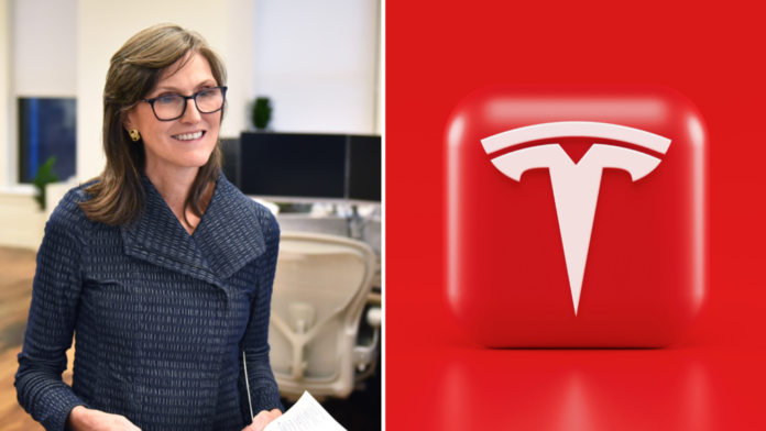 Cathie Wood's Ark Invest Snaps Up $5.3M In Beaten-Down Crowdstrike Shares, Dumps $3.7M Worth Of Tesla Stock Before Q2 Earnings