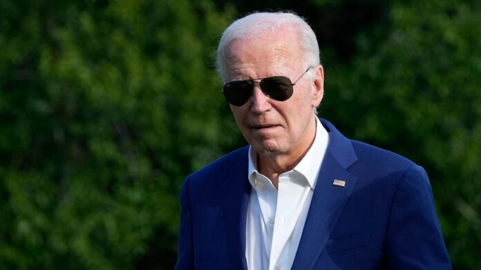 HOWARD KURTZ: Biden denounces media, political elites during call to 'Morning Joe'