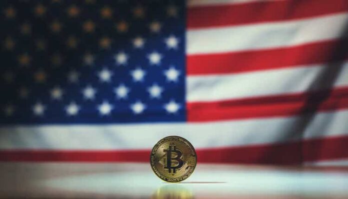 Bitcoin Against the American Flag