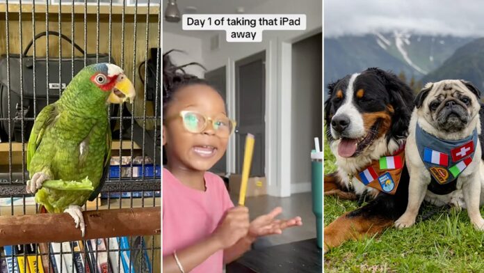 Viral headlines: Trending family stories, pet tales, food finds and more you can't miss