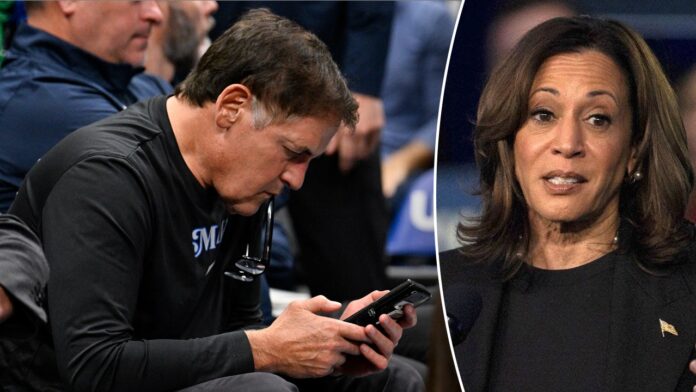 Mark Cuban, Mavericks minority owner and Harris surrogate, takes heat for deleting supportive posts of VP