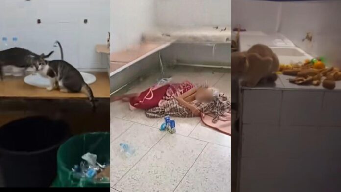 Morocco’s public hospitals at a breaking point