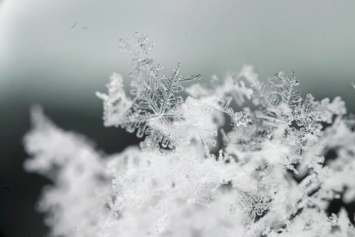 Snowflake's Growth Is Back, But The Train Has Left The Station (NYSE:SNOW)