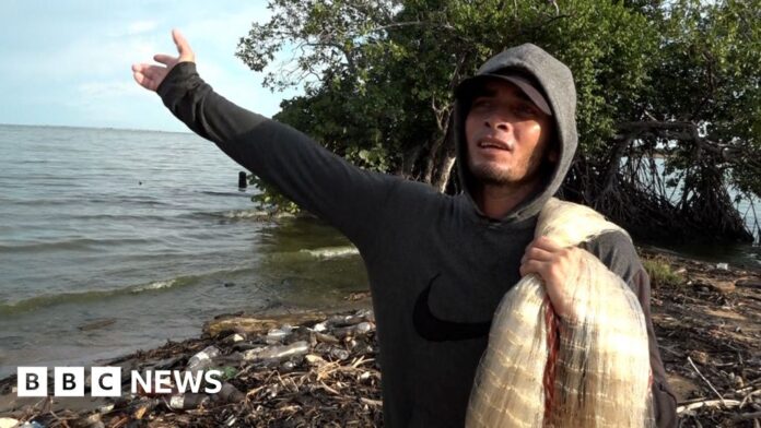 Venezuelan fishermen in fear after US strikes on boats in the Caribbean